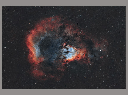Stacks Image 1885