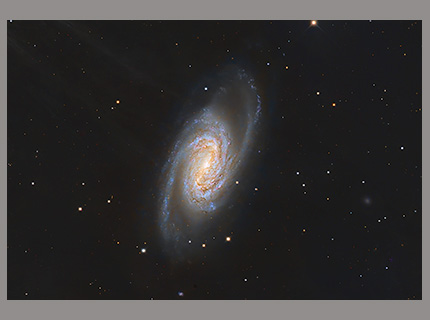 Stacks Image 1922
